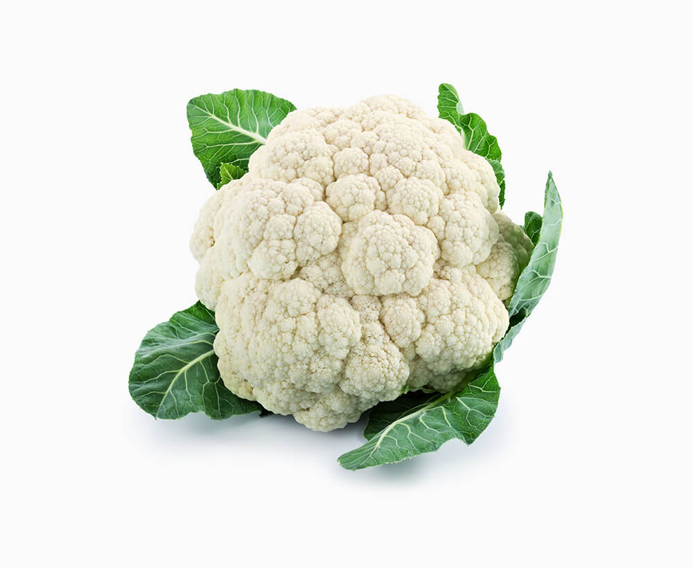 Shop Primary Image Shop Primary Image