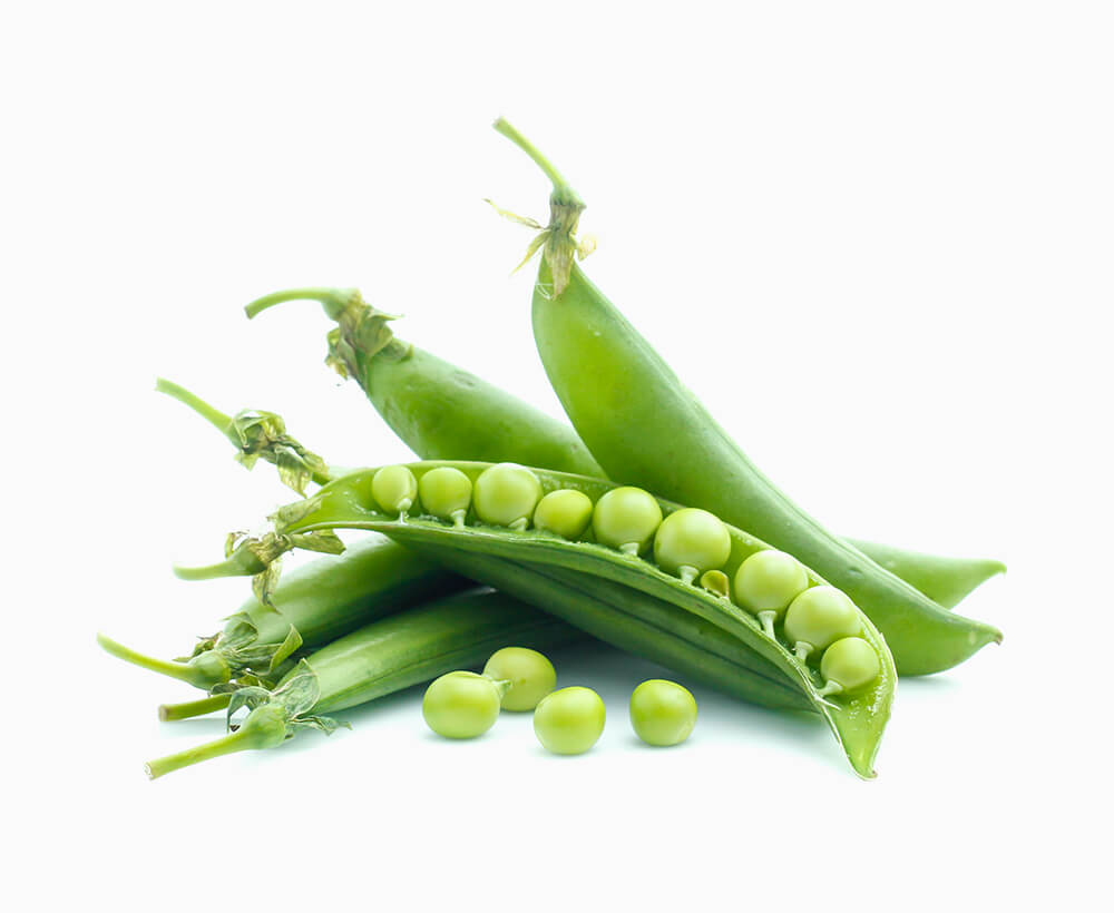 Shop Primary Image Shop Primary Image