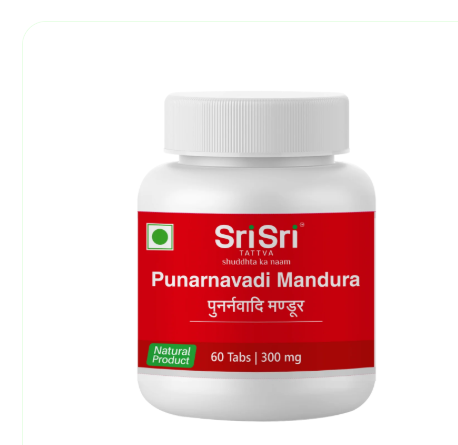 PUNAR SRI SRI PUNARNAVADI MANDURA - Image 1